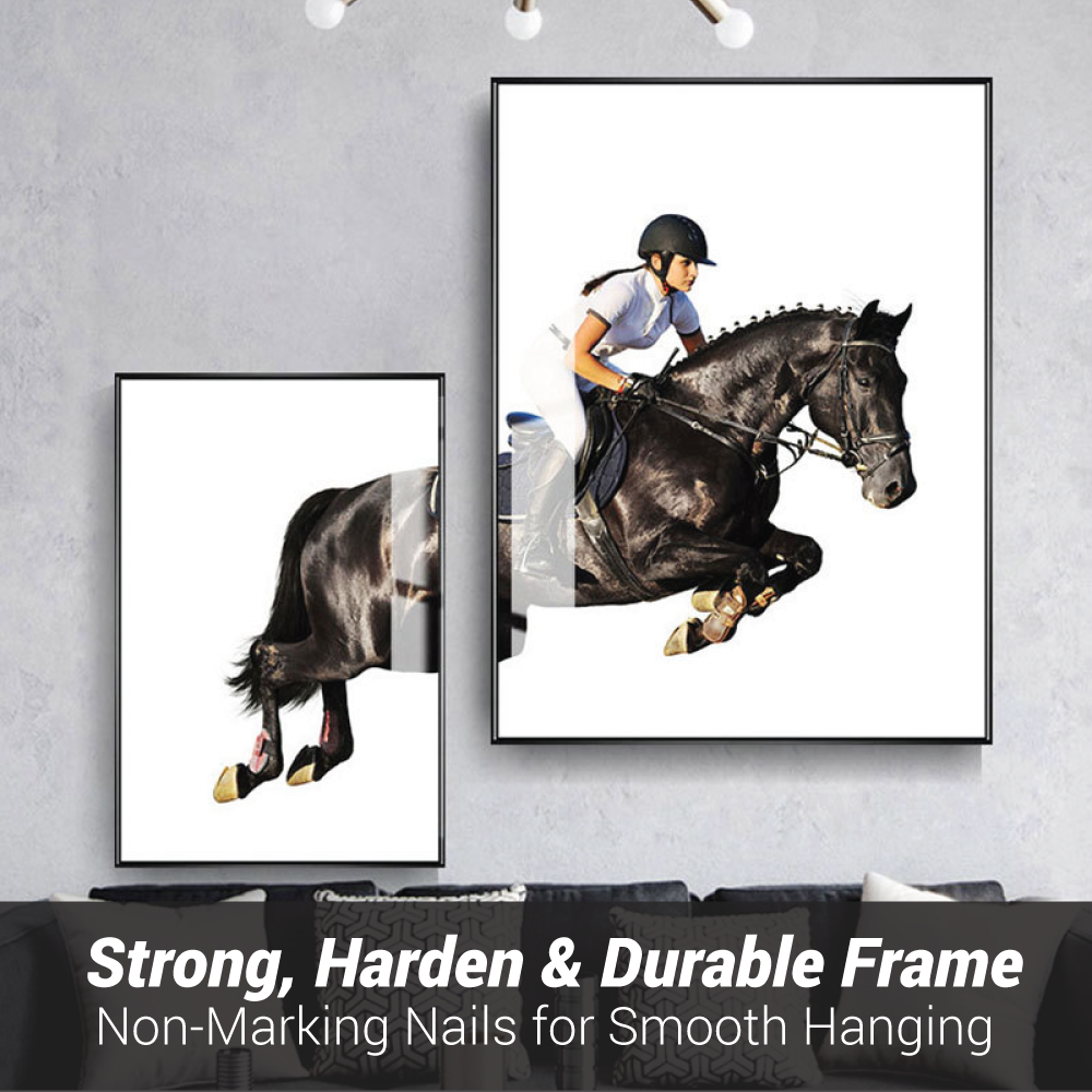 Black Horse Rider Jump Wall art set of 2